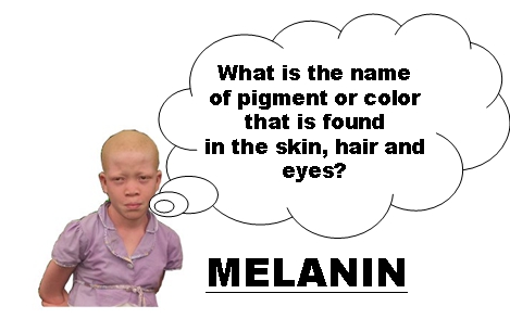 question on pigment mame founded in the skin hair and eyes